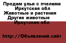 Продам ульи с пчелами - Иркутская обл. Животные и растения » Другие животные   . Иркутская обл.